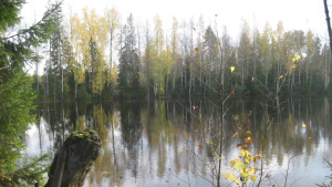 Suomusjärvi-patikka ja lasten patikka